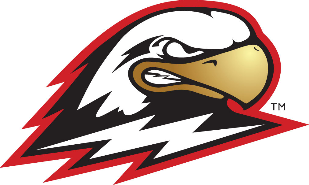 Southern Utah Thunderbirds 2002-Pres Secondary Logo t shirts iron on transfers